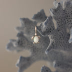 The Opal Sea Turtle Charm in Silver features an opal center and hangs on pale blue coral, making it ideal for lovers of ocean-inspired jewelry.