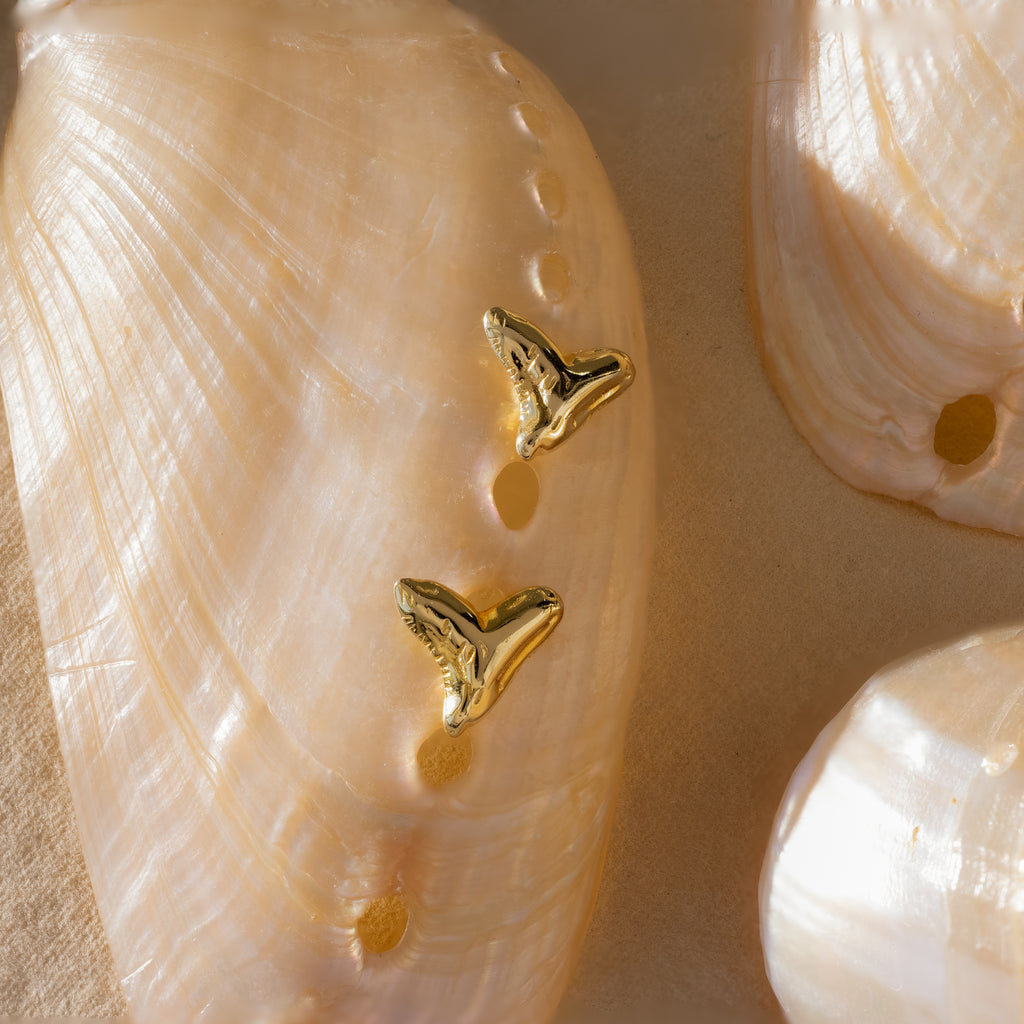 Shark Tooth Jewelry Set in 18K Gold