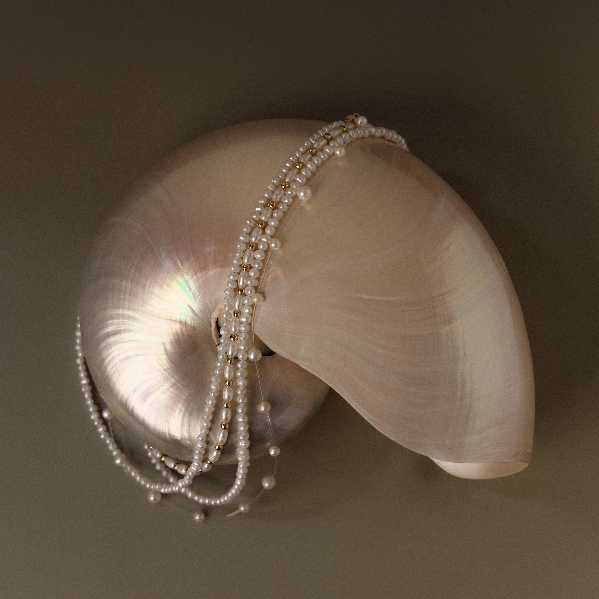 The Floating Pearl Necklace is elegantly displayed draped over a shiny nautilus shell, set against a neutral background.