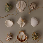 Pearl Diamond Cluster Studs in 18K Gold, along with other seashells accented with gold jewelry and pearls, are neatly arranged on a neutral background, capturing everyday elegance.