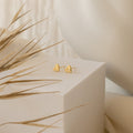 Classic Heart Studs are displayed on a white geometric surface, with dried grass in the foreground, highlighting their delicate and cute design.