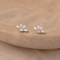 Marquise diamond stud earrings with clustered pear-shaped stones set in 18K gold, displayed on a carved beige stone dish.
