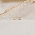 The Blair Baguette Diamond Drop Studs, elegant gold earrings with sparkling diamonds, are showcased on a white surface with a dried fern in the background.